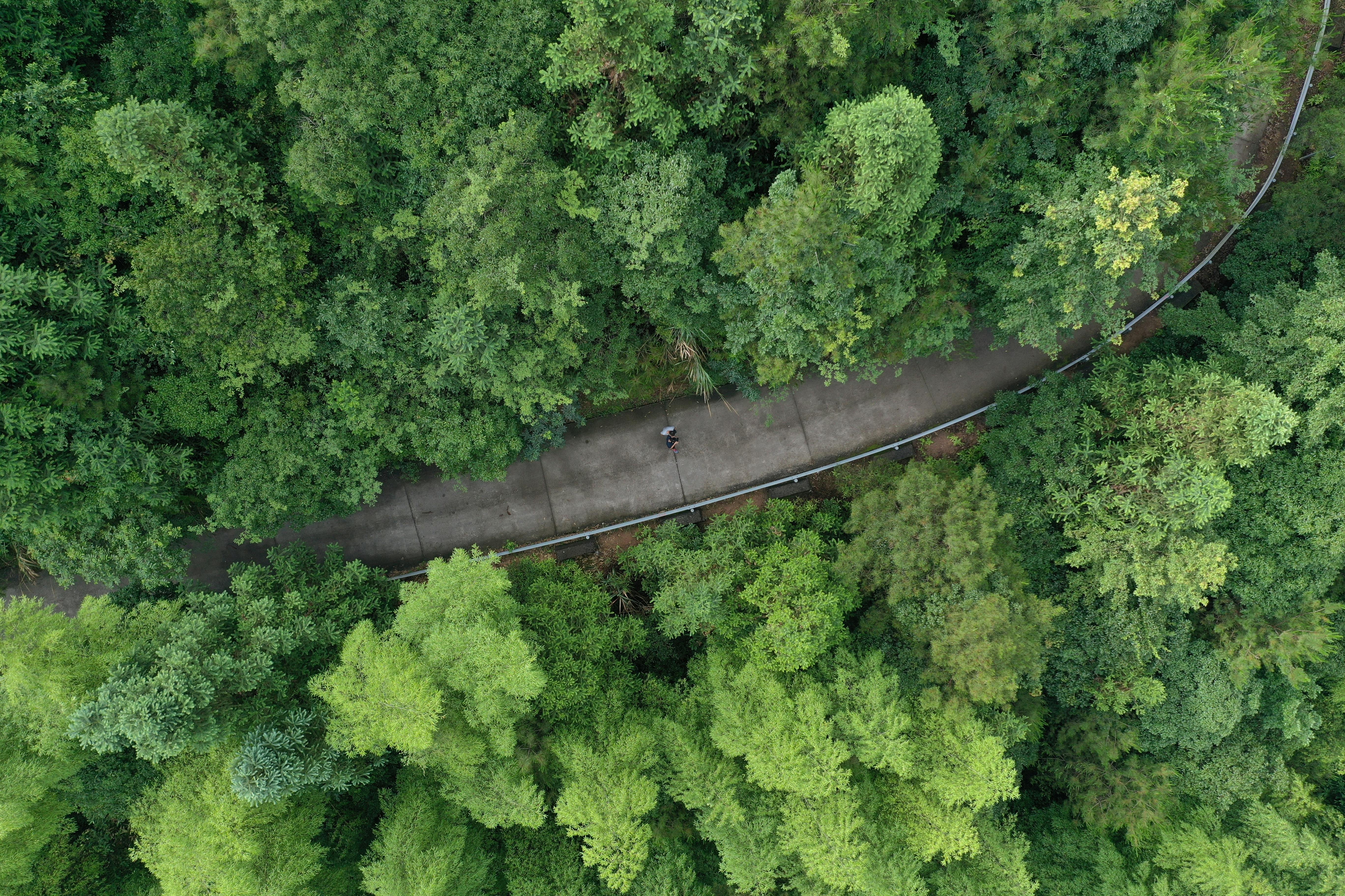 corporate governance esg governance in esg meaning — Photo by bearmax on Pexels