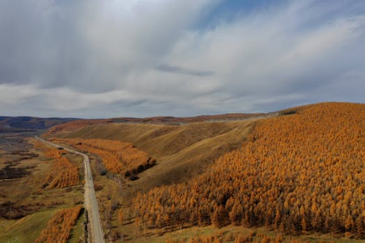 Breathtaking aerial view of autumnal hills in Hinggan League, China.