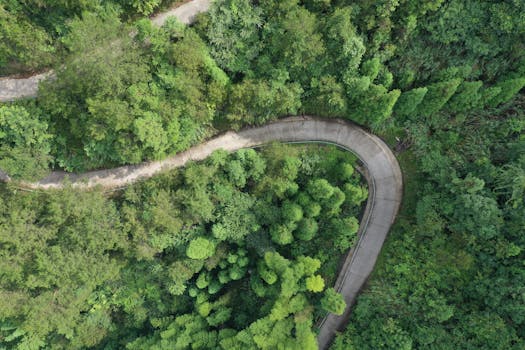 Stunning aerial shot of a winding road cutting through a dense, vibrant green forest.