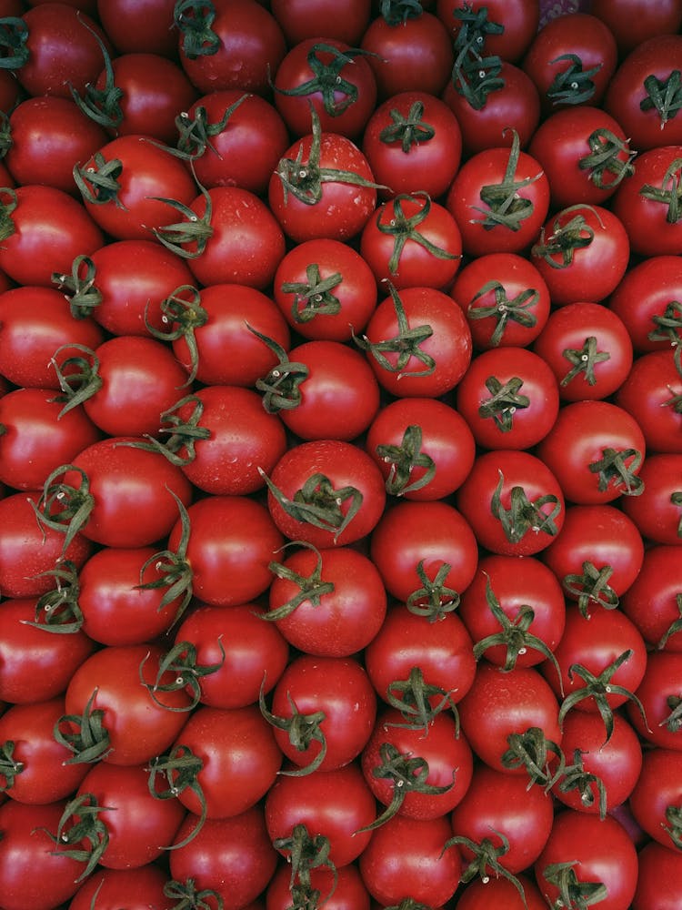 Close-up Of Tomatoes 