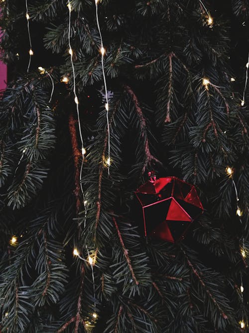 Foto profissional grátis de animado, árvore de Natal, bola de Natal