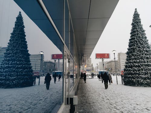 Foto d'estoc gratuïta de gent, hivern, la vida quotidiana