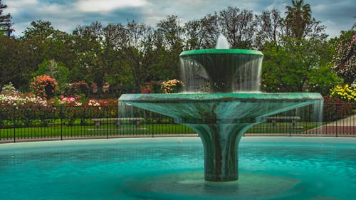 Free stock photo of flower garden, fountain, roses