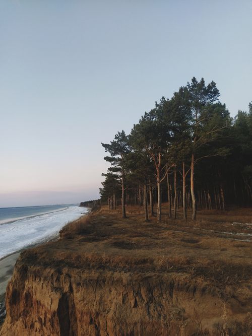 Free Breathtaking view of a forest along a coastal cliff with the sea under a clear sky. Stock Photo