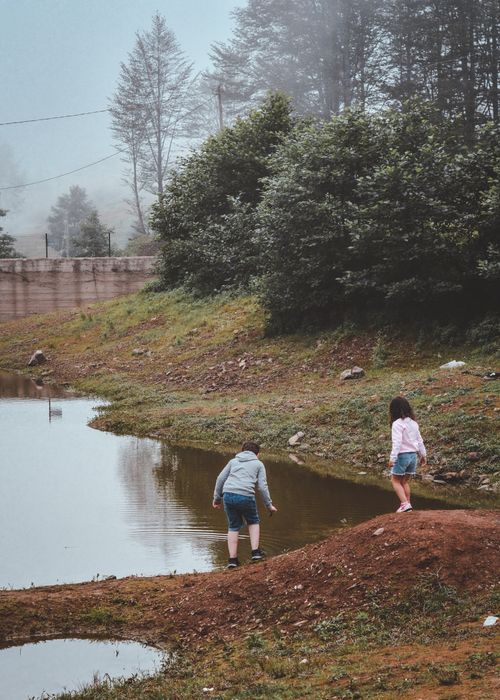 Free Two children enjoy exploring a misty lakeside environment, surrounded by trees and nature. Stock Photo