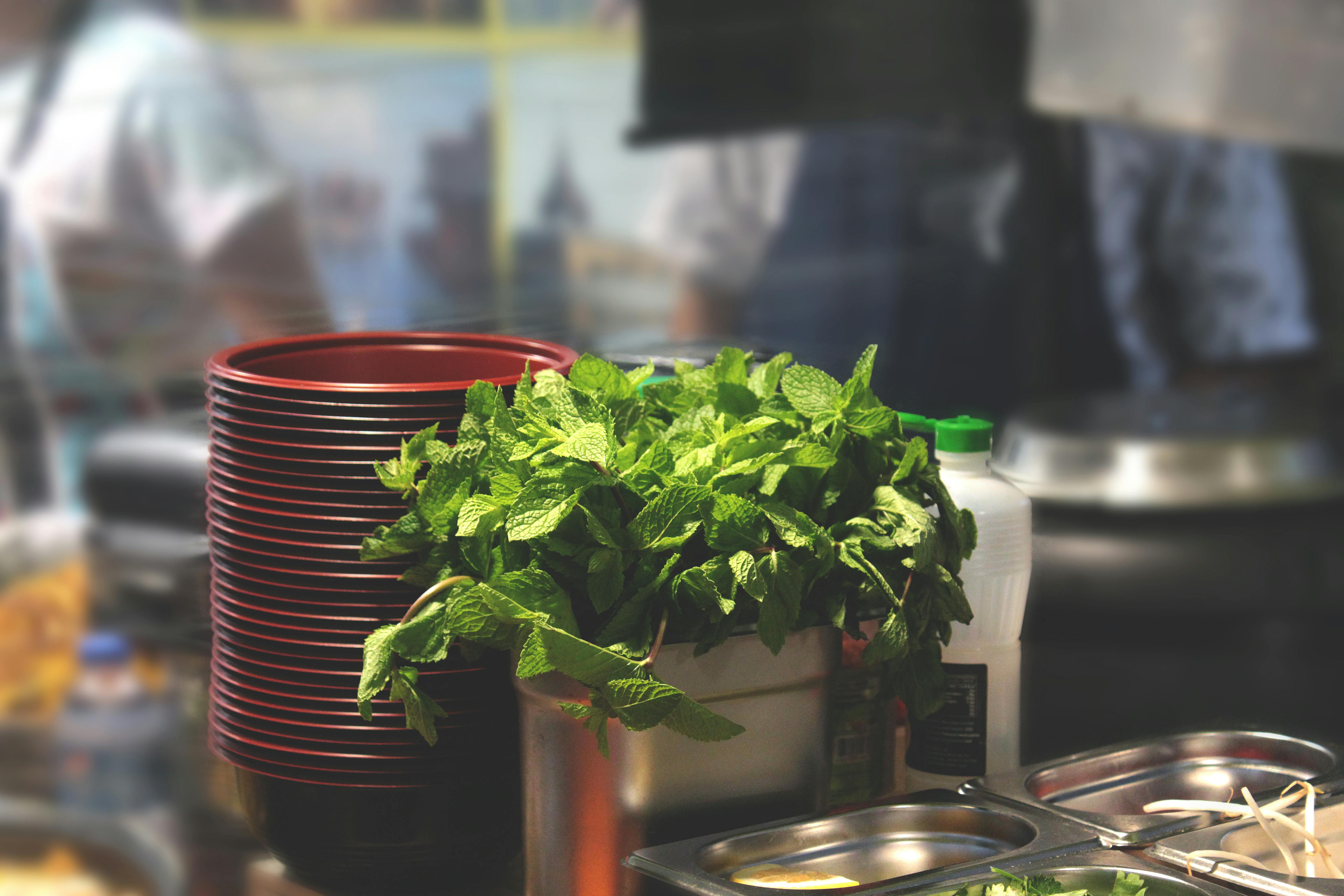 green leaf plant beside bowl and bain marie