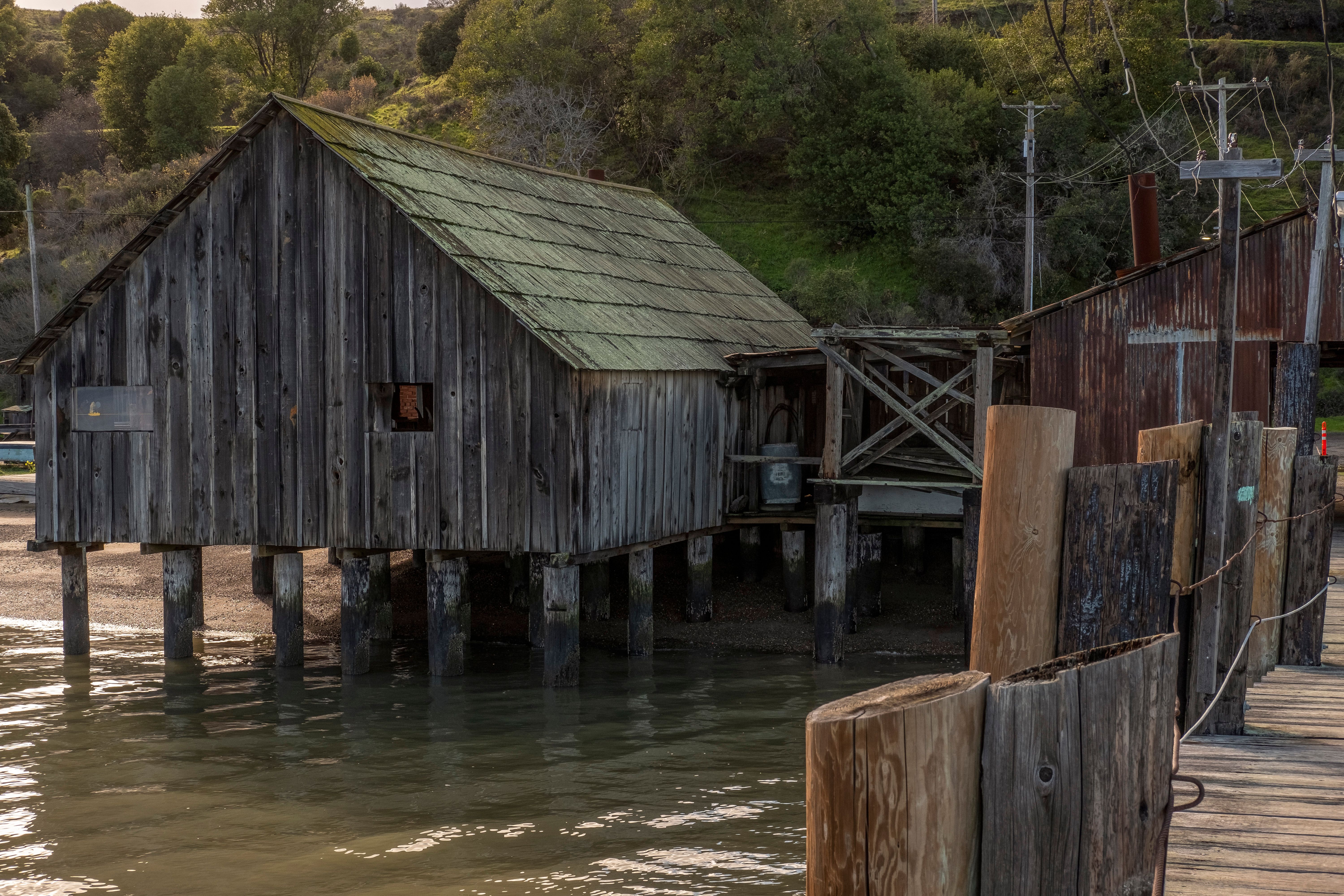 Brown Wooden House on Body of Water · Free Stock Photo