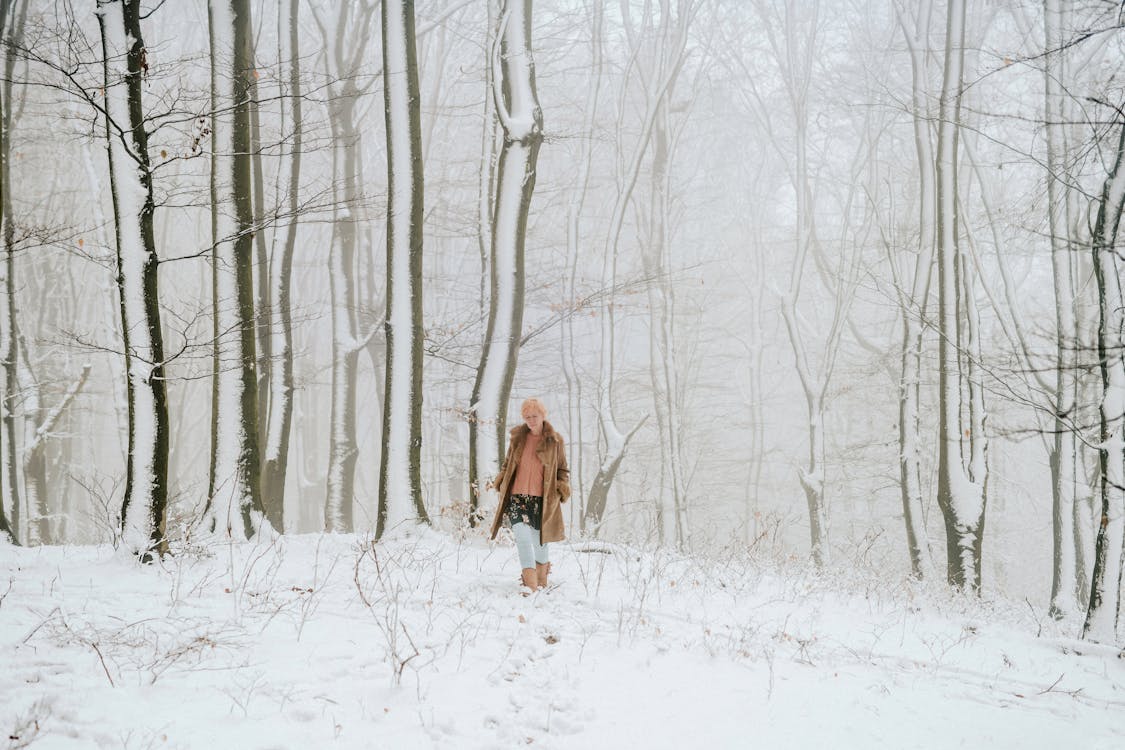 Бесплатные стоковые фото на тему голые деревья, зима, мороз, морозная  погода, покрытый снегом, снег, ходьба, человек
