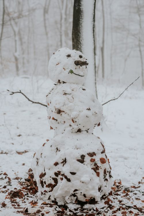 Free A charming snowman adorned with natural elements in a snowy forest. Stock Photo