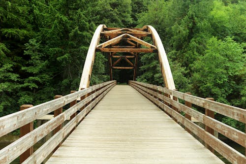 Bezpłatne Darmowe zdjęcie z galerii z drewniany most, las, natura Zdjęcie z galerii