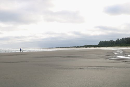 Gratis lagerfoto af langt skud, naturfotografering, sand