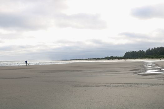 A person walking with a dog on a vast, empty beach under a cloudy sky.