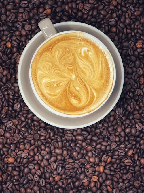 ฟรี คลังภาพถ่ายฟรี ของ กาแฟ, กาแฟในถ้วย, คาปูชิโน่ คลังภาพถ่าย