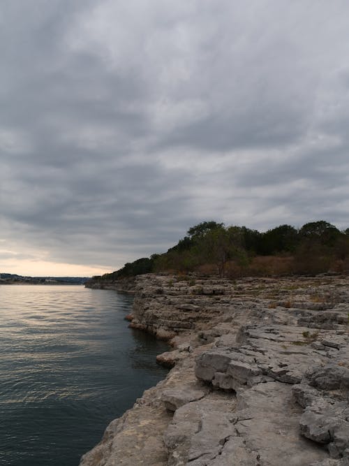 Foto d'estoc gratuïta de a l'aire lliure, arbres, cel gris