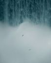 Birds Flying over Waterfalls