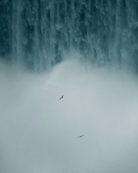 Birds flying in front of the powerful mist and flow of Niagara Falls, captured in a stunning vertical shot.