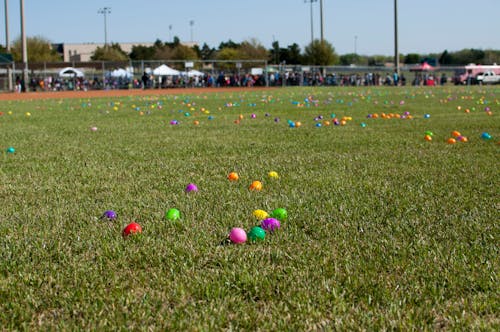 Free stock photo of easter, easter egg, easter egg hunt