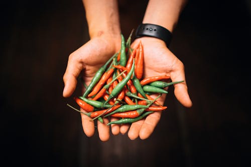 Person Holding Green and Red Chili Peppers