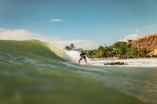 Fotos de stock gratuitas de arboles, cielo limpio, costa