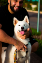 Person Holding White Short Coated Dog