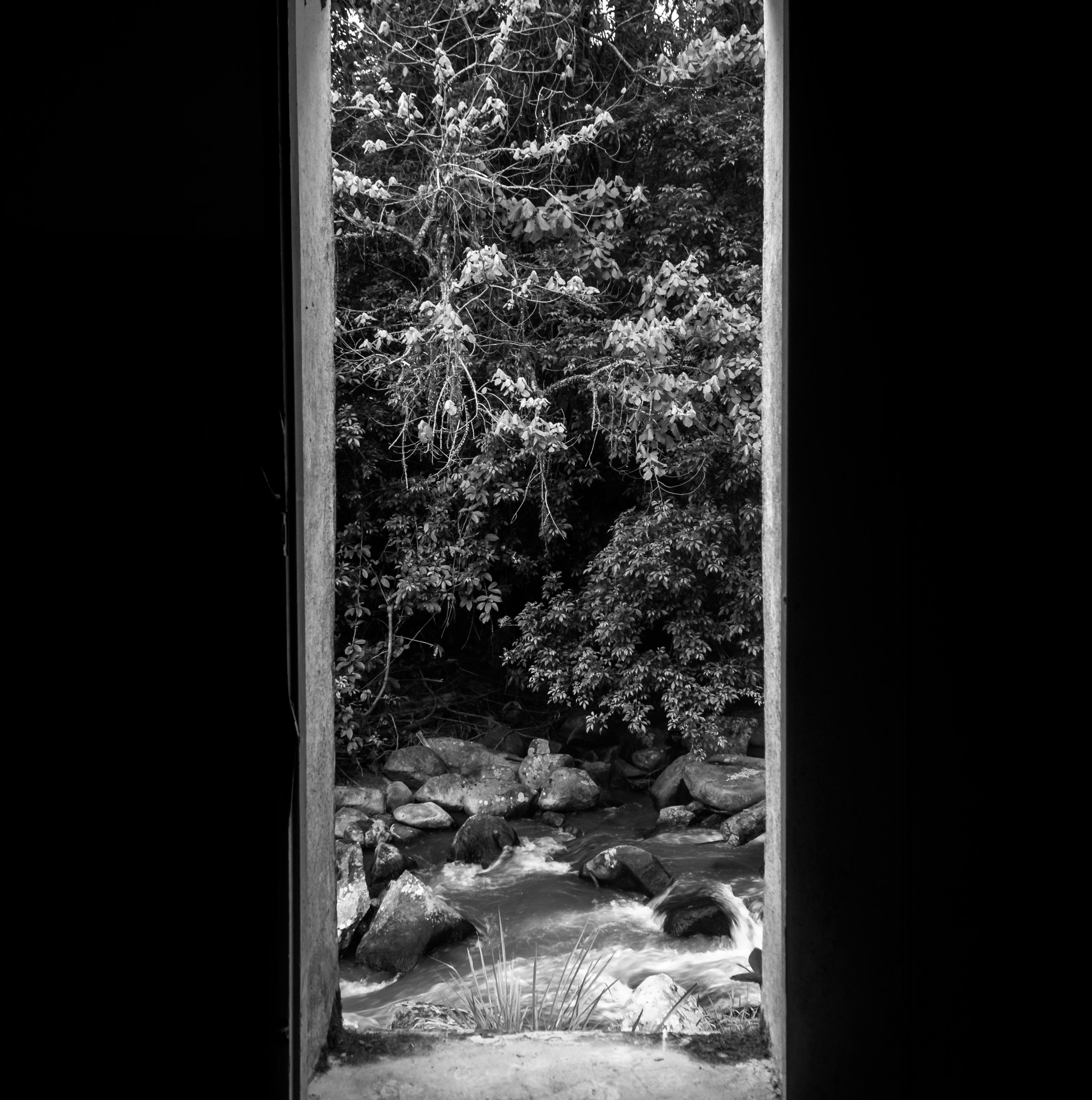 A serene black and white view of a forest with a river through an open window frame.
