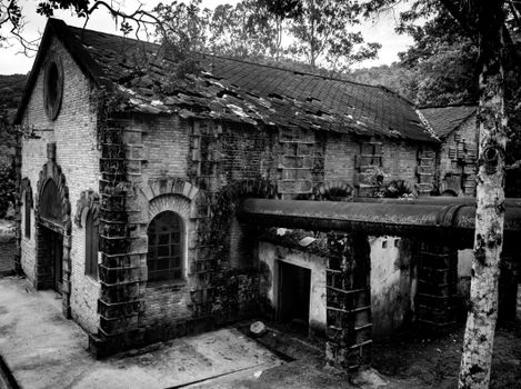 An abandoned historic brick building surrounded by nature in black and white.