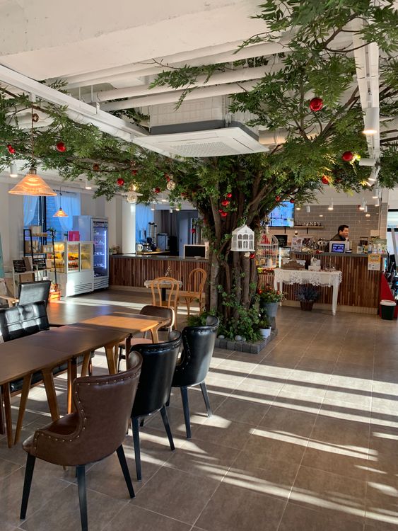 restaurant interior decorated for Christmas