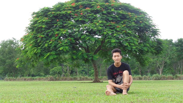 A young man sits barefoot on grass under a vibrant tree in an outdoor park setting.