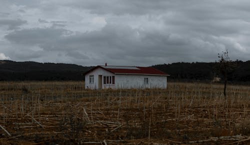 Kostnadsfri bild av bungalow, dyster himmel, gräsfält