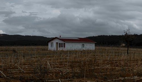 A Bungalow House in the Middle of a Grass Field