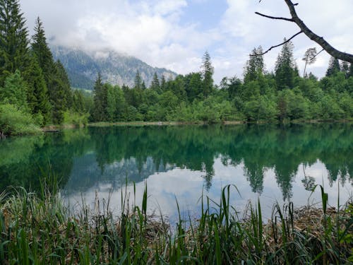 Free stock photo of caumasee, green, lake