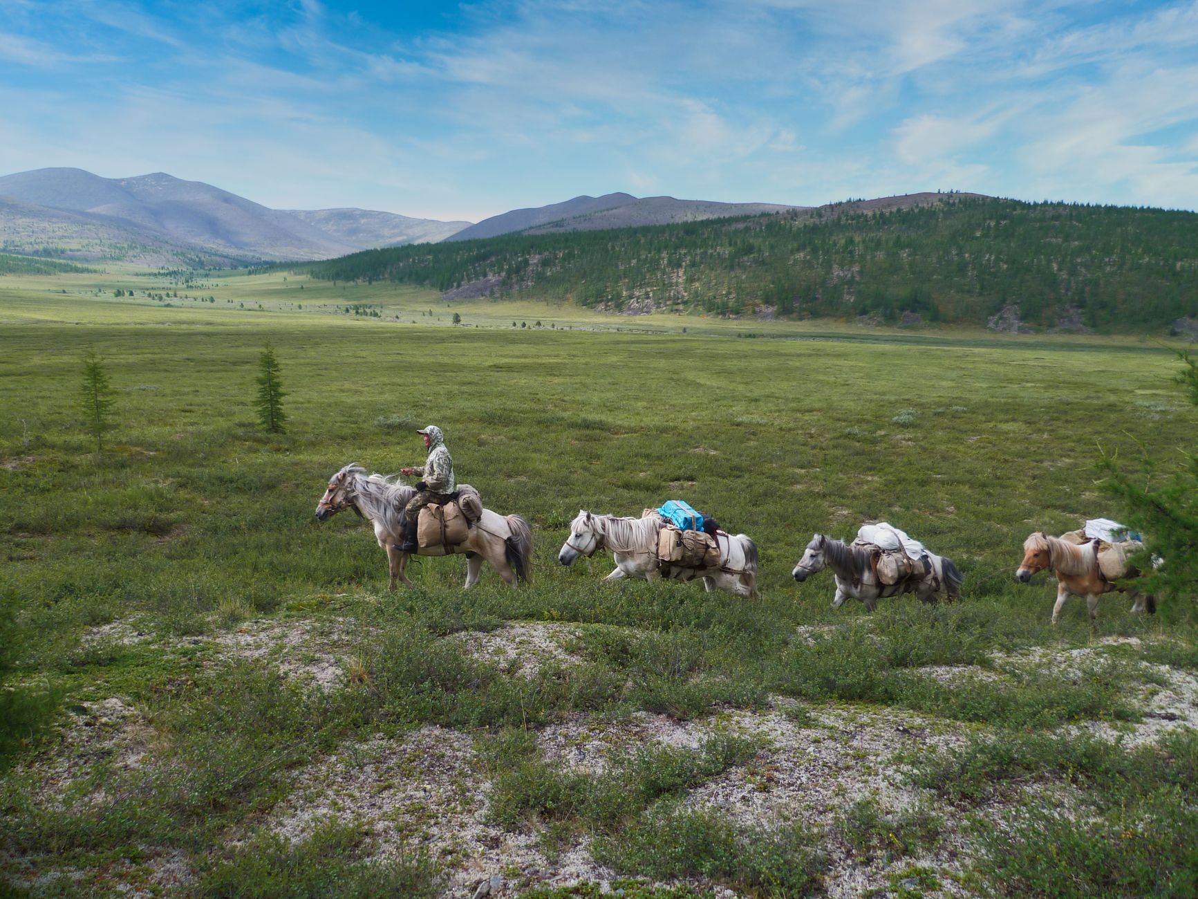 A scenic view of a man on horseback leading a caravan across the expansive grasslands in Sakha, Russia.