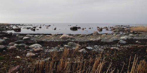 Uitzicht Op De Kust