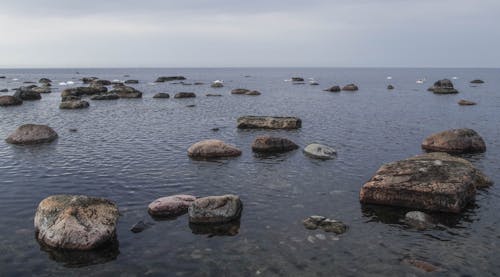 무료 해변 사진에있는 돌 스톡 사진