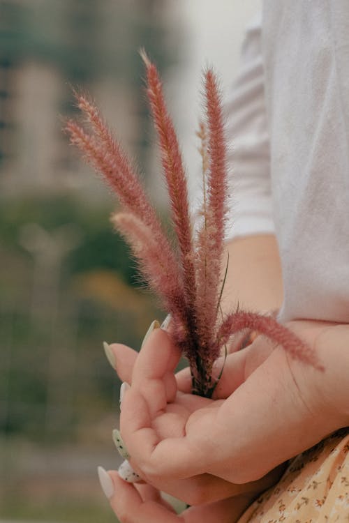 뒤에서, 손, 수직 쐈어의 무료 스톡 사진