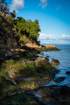 A beautiful rocky coastline with lush greenery under a clear blue sky. Perfect for nature and scenery lovers.