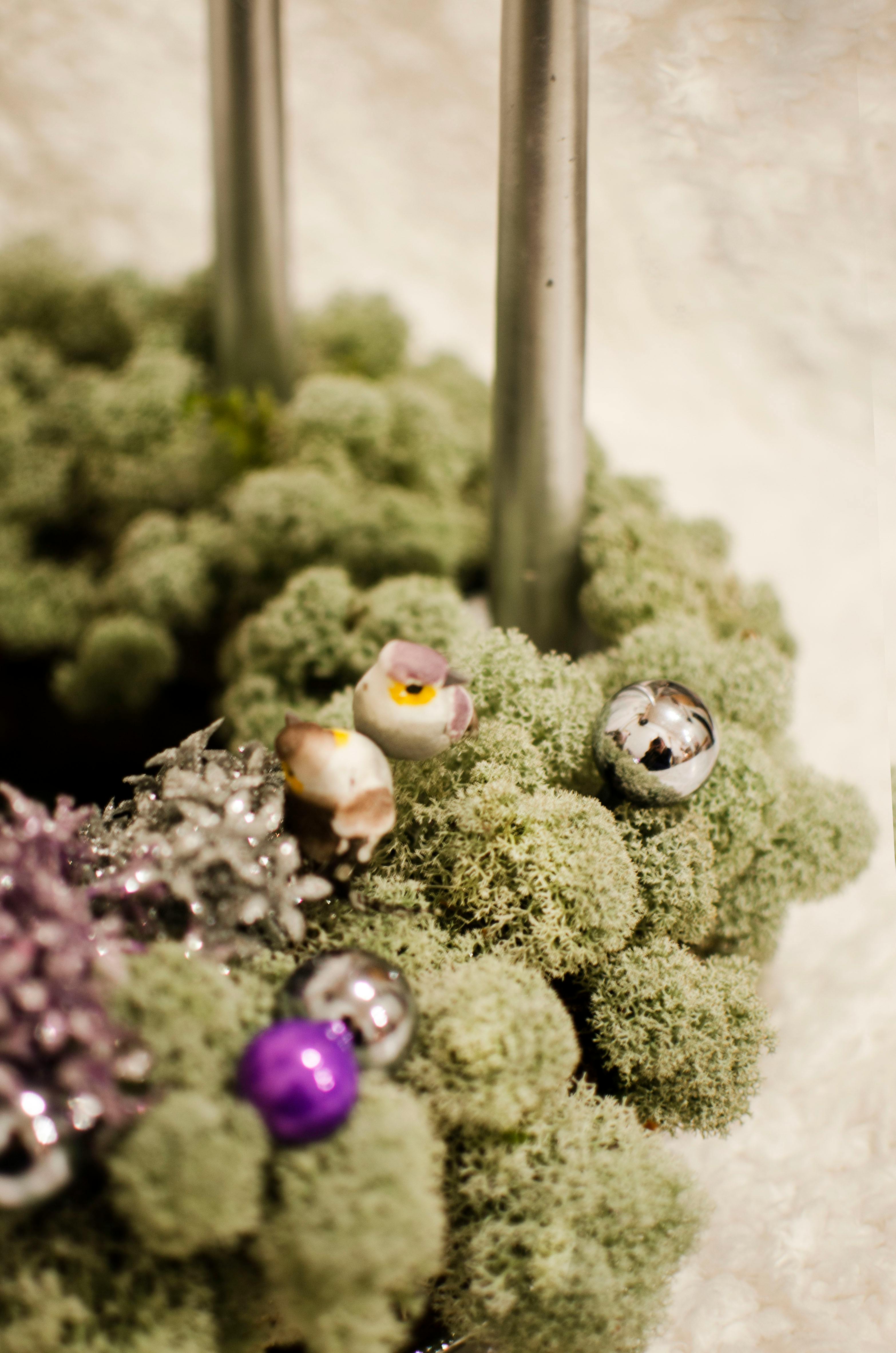 Historisches Restaurant in Europa