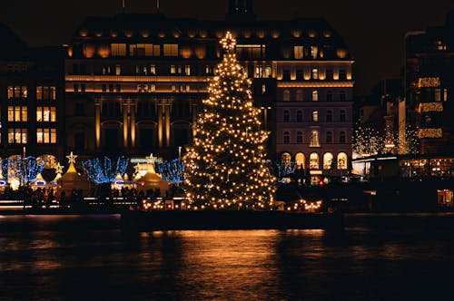 A Lighted Christmas Tree in Hamburg