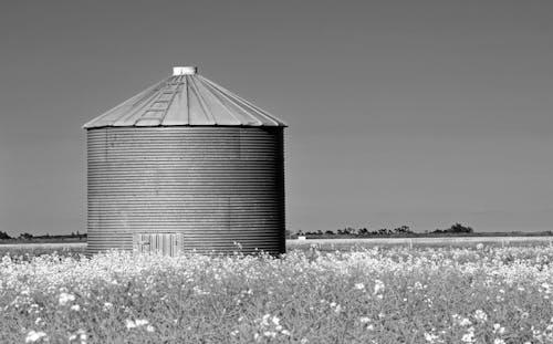 Gratuit Imagine de stoc gratuită din agricultură, alb-negru, arhitectură Fotografie de stoc