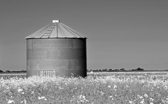 Metal Building Grayscale Photo