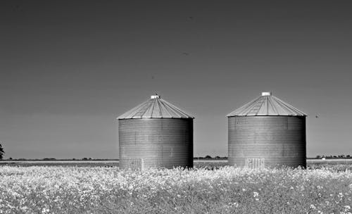 Grayscale Photography of Two Silo on Grass