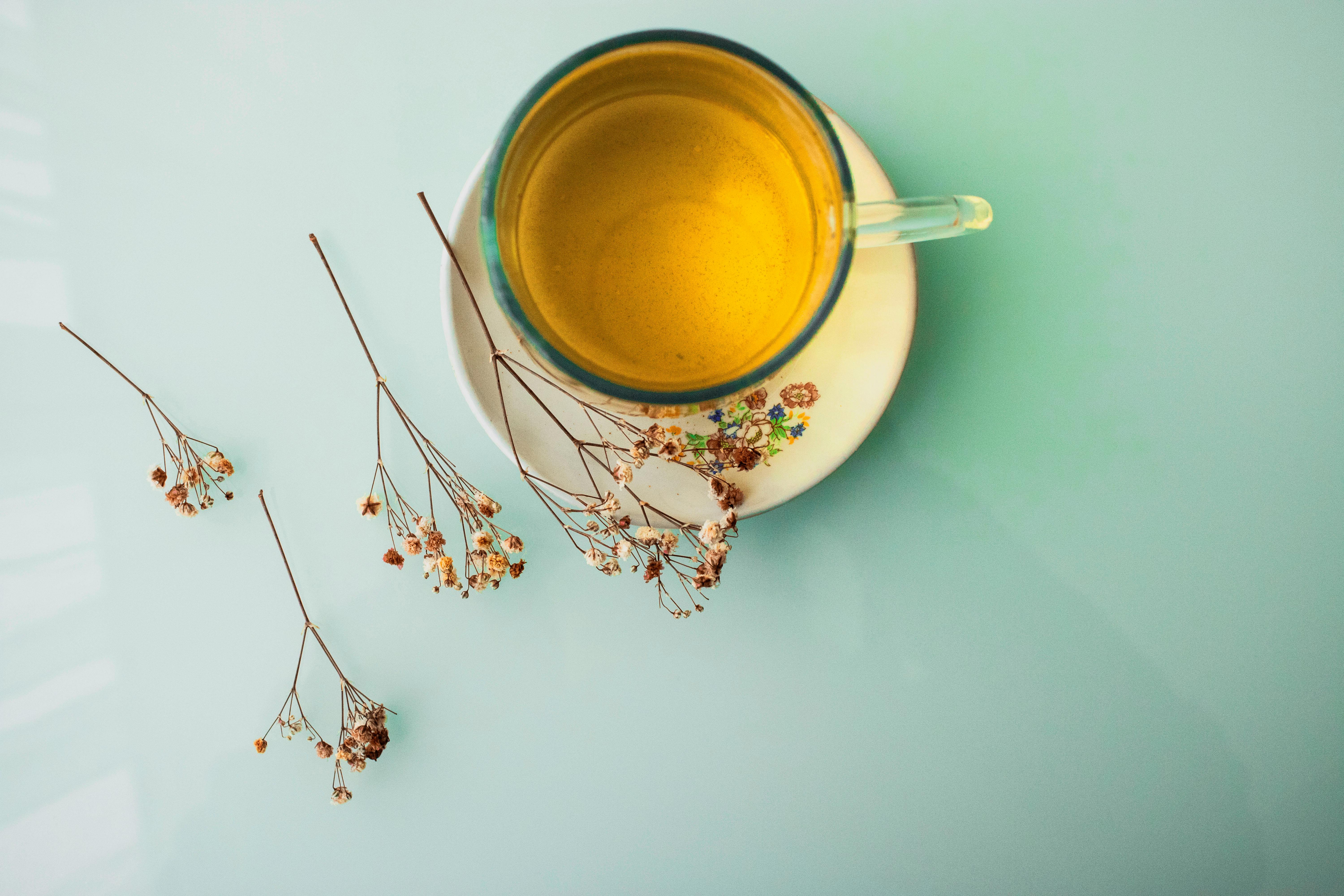 Minimalist top view of herbal tea in a glass cup with dried flowers for a calming aesthetic.