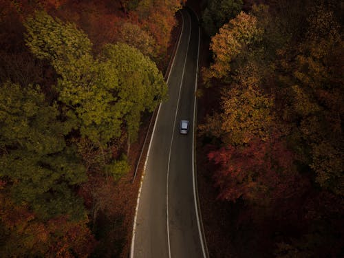 Free Car on Road Between Autumn Trees Stock Photo
