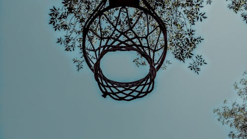 Free Basket potası, Basketbol, basketbol potası içeren Ücretsiz stok fotoğraf Stock Photo