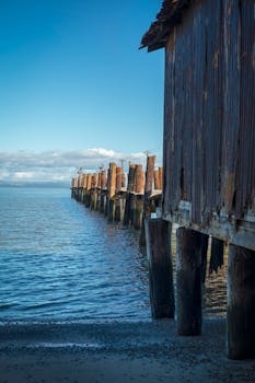 Serene seaside view with a rustic wooden pier extending into the tranquil ocean under a clear blue sky.