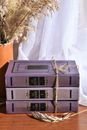 Stack of Purple Hardbound Books Tied with Rope