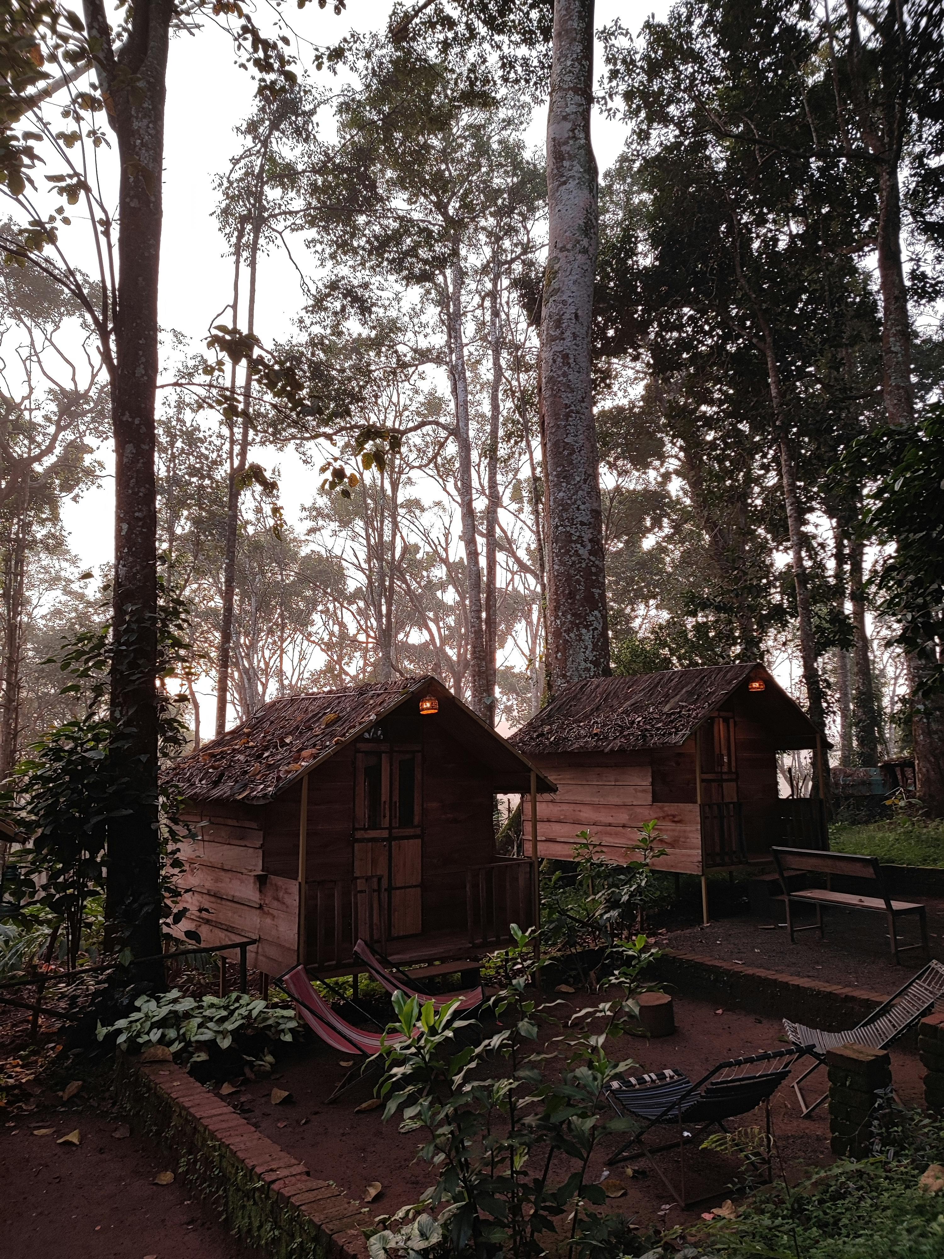 brown wooden house in the woods