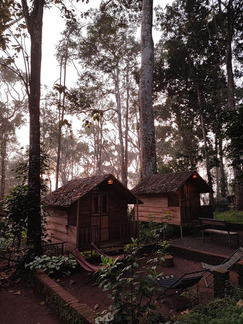 Homestay: Lebih dari Sekadar Penginapan Homestay: Lebih dari Sekadar Penginapan