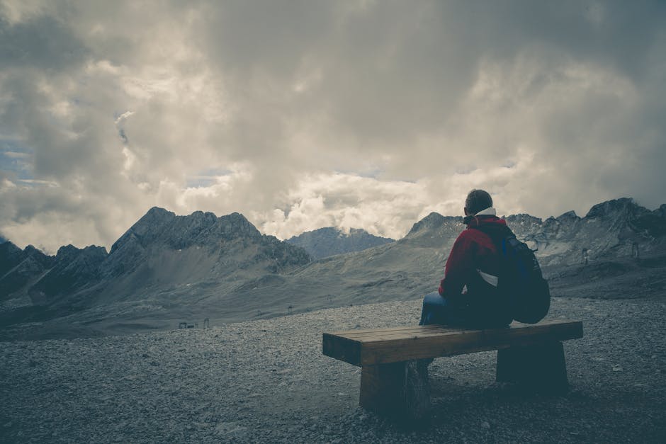 Man in Red Jacket Sitting on Brown Wooden Bench