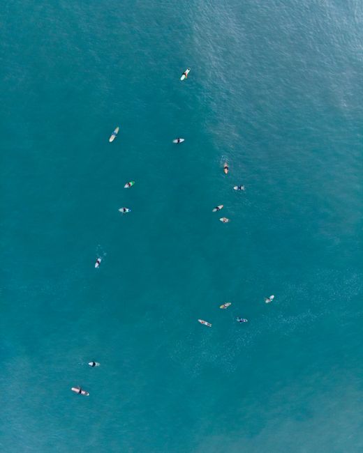 Aerial shot of surfers paddling on open ocean water, perfect for sport and adventure themes.